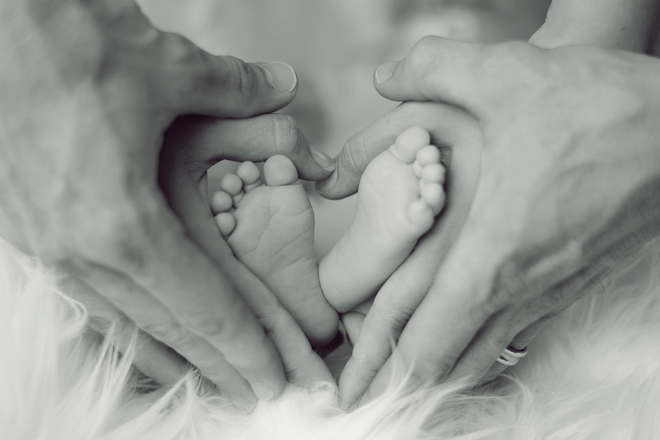 famiglia fecondazione assistita