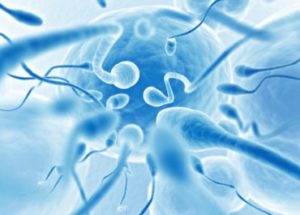 infertilita-gli-uomini-non-conoscono-fattori-rischio.asp12997imhp1